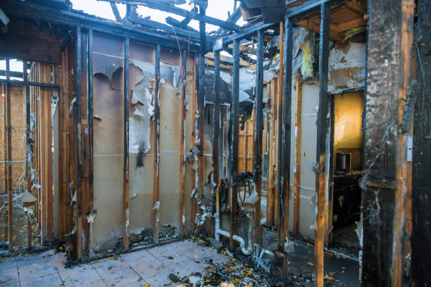 Professional Fire Damage Assessment technician working in East Port Orchard, WA